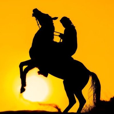 Asad _ منصور's profile picture