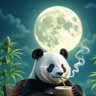 Mr.Blunt's profile picture