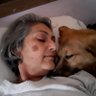 Daniela, Raposinha e outros 7 🐕 🇧🇷 profil fotoğrafı