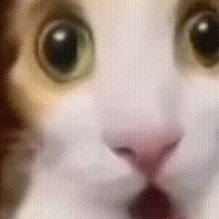 QingX40541's profile picture