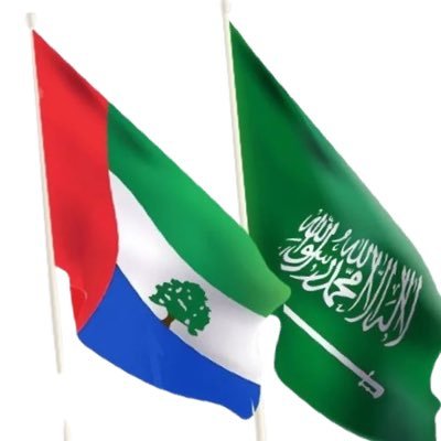hadramaut_state's profile picture