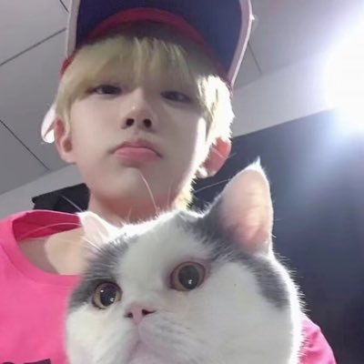 YzdMhzzz's profile picture
