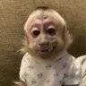 irrelevante's profile picture
