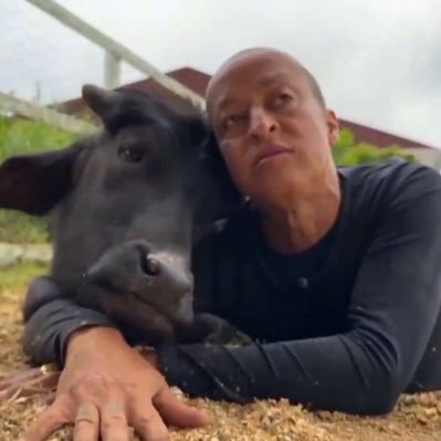 Walério 🌈's profile picture