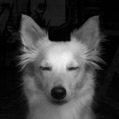 _c_l_o__'s profile picture