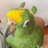 Profilbild von lelet