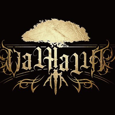 VALHALLA_77777's profile picture
