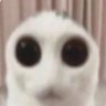 Marroquinho #Flalibã's profile picture