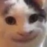 Bonziro's profile picture