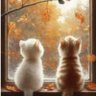 Ayse Yilmaz's profile picture