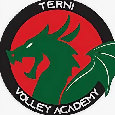 TerniVolley's profile picture