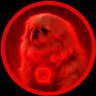 Profilbild von Richard Y