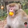 Nebukuro profil fotoğrafı