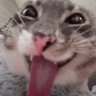 Profilbild von Smurffberries