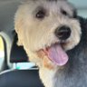 Profilbild von winnie (use to be Winnie Girl)