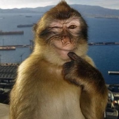 d0mi's profile picture
