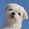 เคียงจันทร์🌙's profile picture