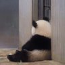 チュンチュン 的头像