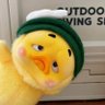 Profilbild von Somm smile^^😘😘🐦🐦💚💚