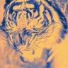 Taiga 🐅's profile picture