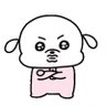 小纳🦈's profile picture