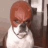 Mr Nobody's profile picture