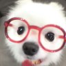 jojoana 🐞's profile picture