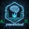 POKERDUD profil fotoğrafı