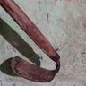 Profilbild von petani
