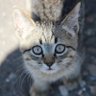 Mike Zloy profil fotoğrafı
