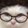 lilylav profil fotoğrafı