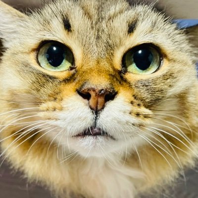 driver_ito's profile picture