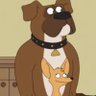 BRNDNsilverUY's profile picture