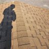 サト profil fotoğrafı