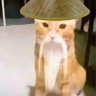 老庙 profil fotoğrafı