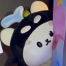 กลมลมลมกลม ft. 🐶✈️'s profile picture