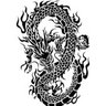 Profilbild von 金眼の星虹龍（Gold Eyes Starbow Dragon）