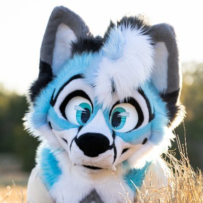 Cybie 🔜 Megaplex's profile picture