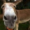 Hecj profil fotoğrafı