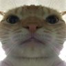 quitter profil fotoğrafı