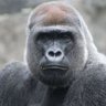 M氏's profile picture