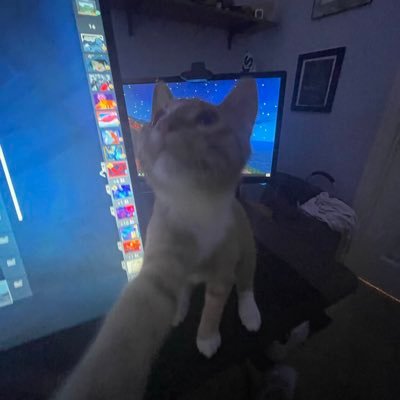 gomalkra's profile picture