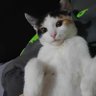 aleks profil fotoğrafı