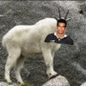 ByfieldisKing's profile picture
