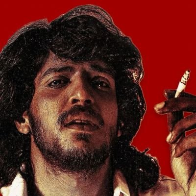KingBunnyFan's profile picture