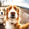 Larry Walton profil fotoğrafı