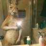 Godsave$ManeeH's profile picture