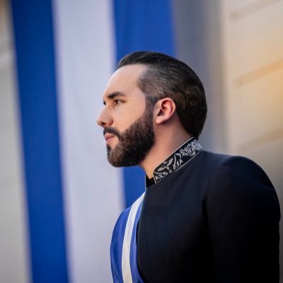 Nayib Bukele's profile picture