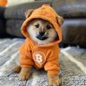2BF 🍌 $DOG & $MIM profil fotoğrafı