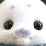 トキ's profile picture